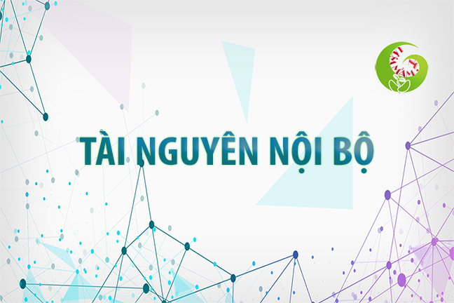Bảo vệ: Tài nguyên nội bộ môn Toán THCS