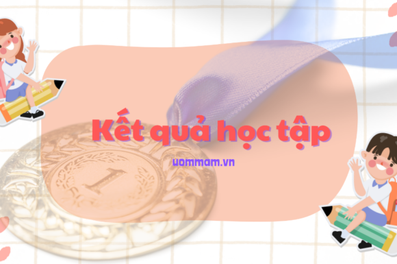 Tra cứu kết quả khảo sát khối 9 năm học 2023 – 2024